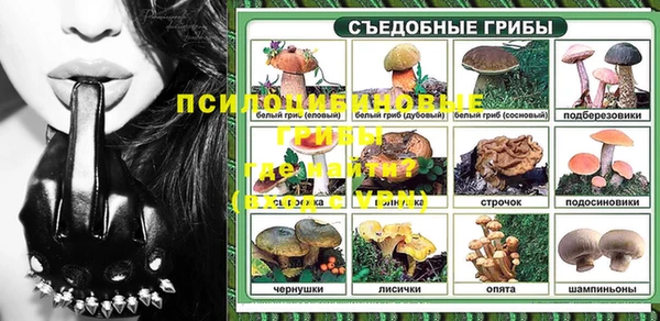 2c-b Алзамай