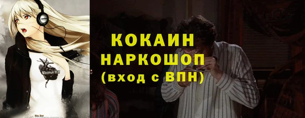 мет Алексин