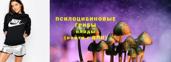 тгк Аркадак