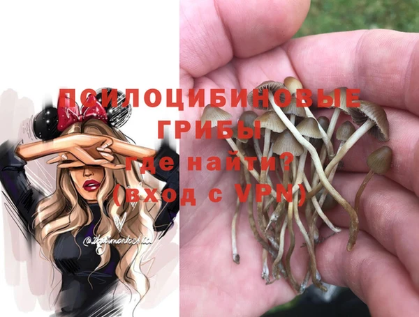Альфа ПВП Медвежьегорск