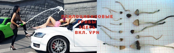 тгк Аркадак